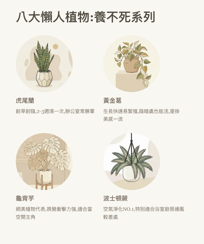 八大懶人植物養不死系列介紹圖，包含虎尾蘭、黃金葛、龜背芋及波士頓蕨的特點與適合生長環境說明。